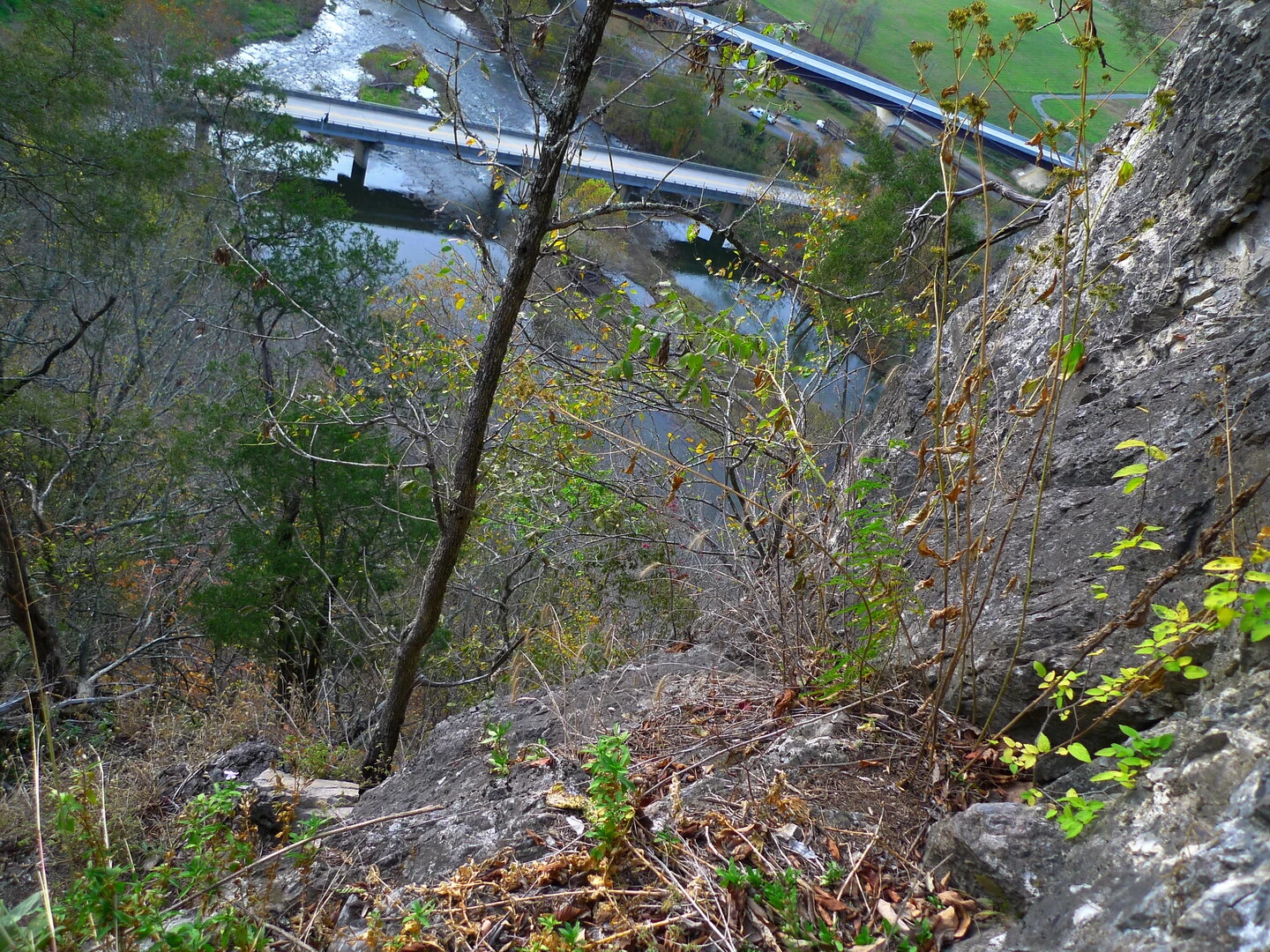 50 000 „Copilot“ licencijų Indijos paslaugų įmonėms