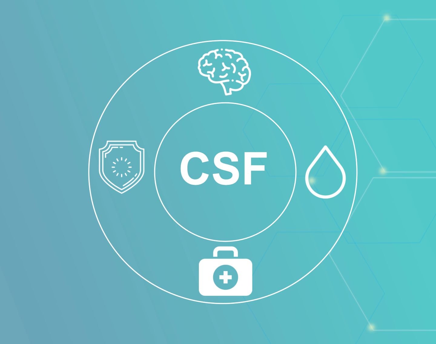 Faraonas Neuro surinko 20 mln. USD ir išrenka buvusį „Medtronic“ vadovą generalinio direktoriaus pareigoms