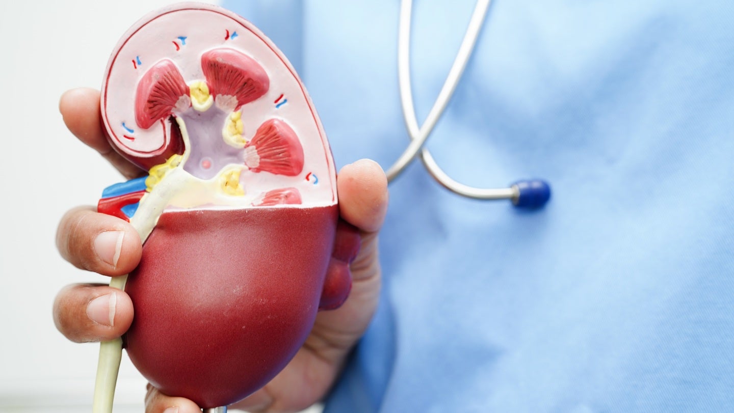 MediBeacon užtikrina CE ženklo sertifikatą TGFR monitoriui ir jutikliui