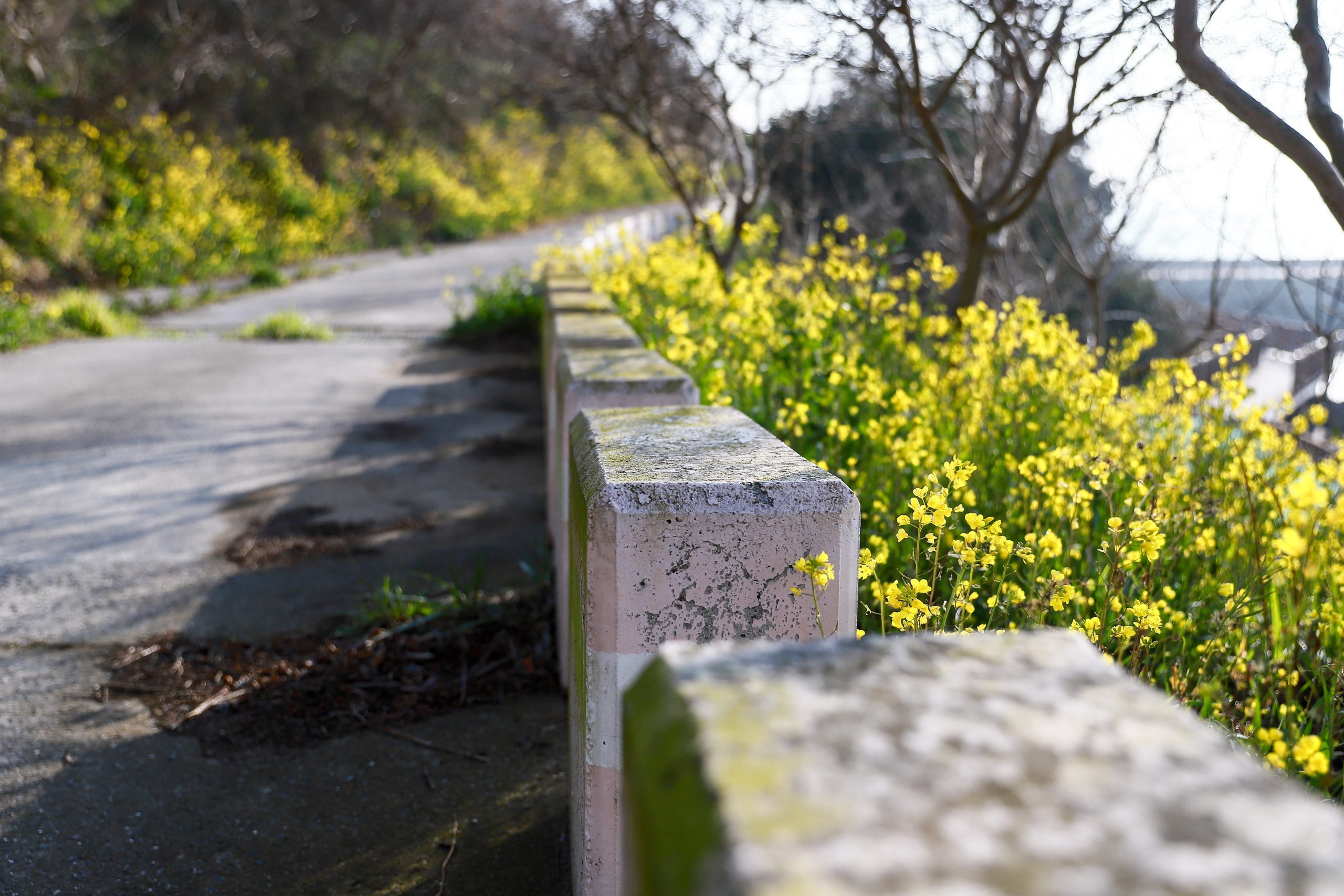 „Asylon“ ir „Thrive Logic“ užtikrina fizinį AI įmonės perimetro saugumą